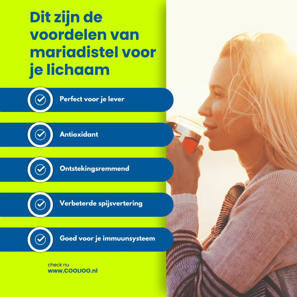 mariadistel kopen