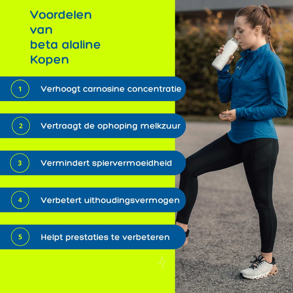 beta alanine kopen