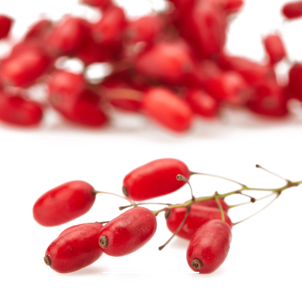 berberine bijwerkingen