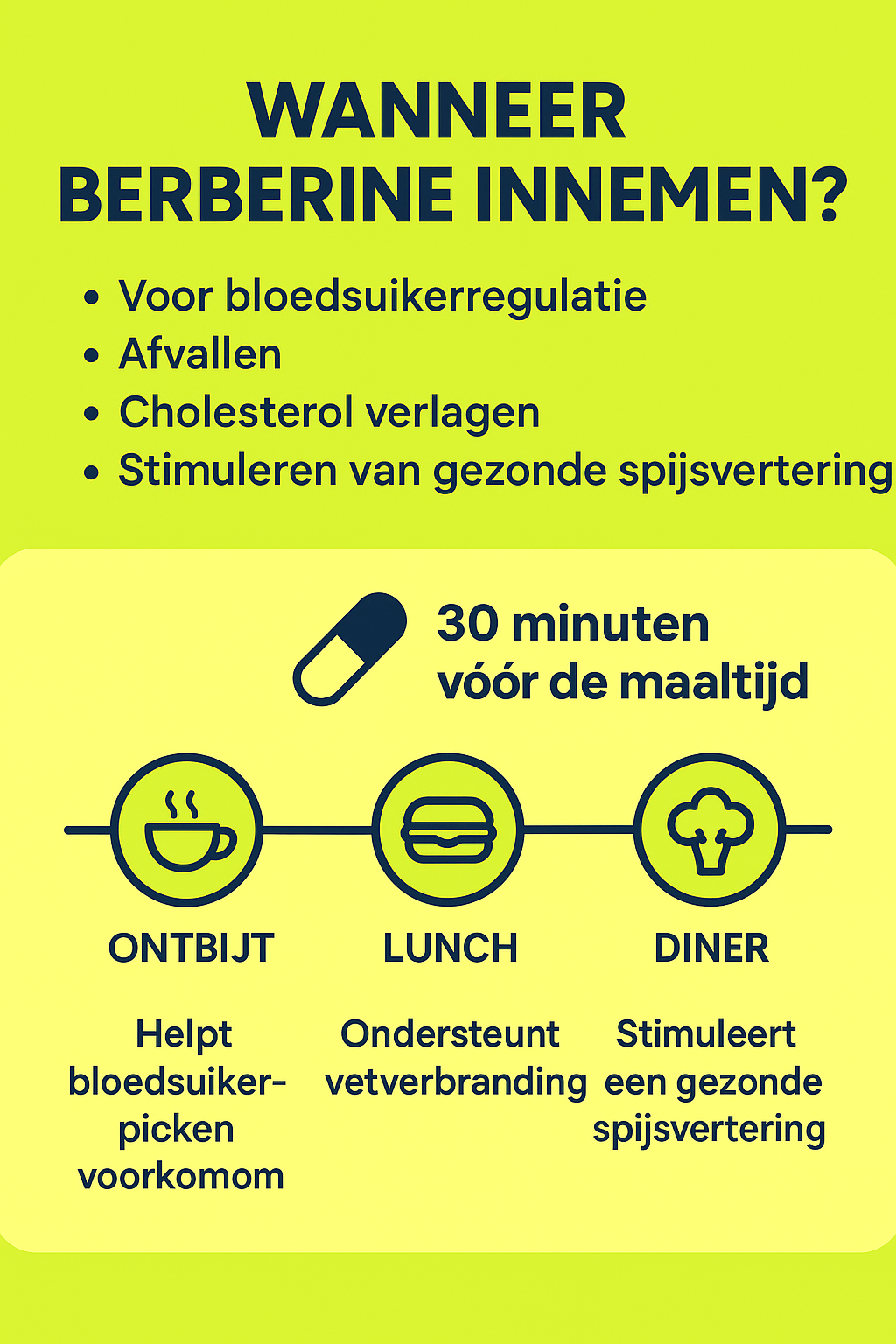 Wanneer moet je berberine innemen