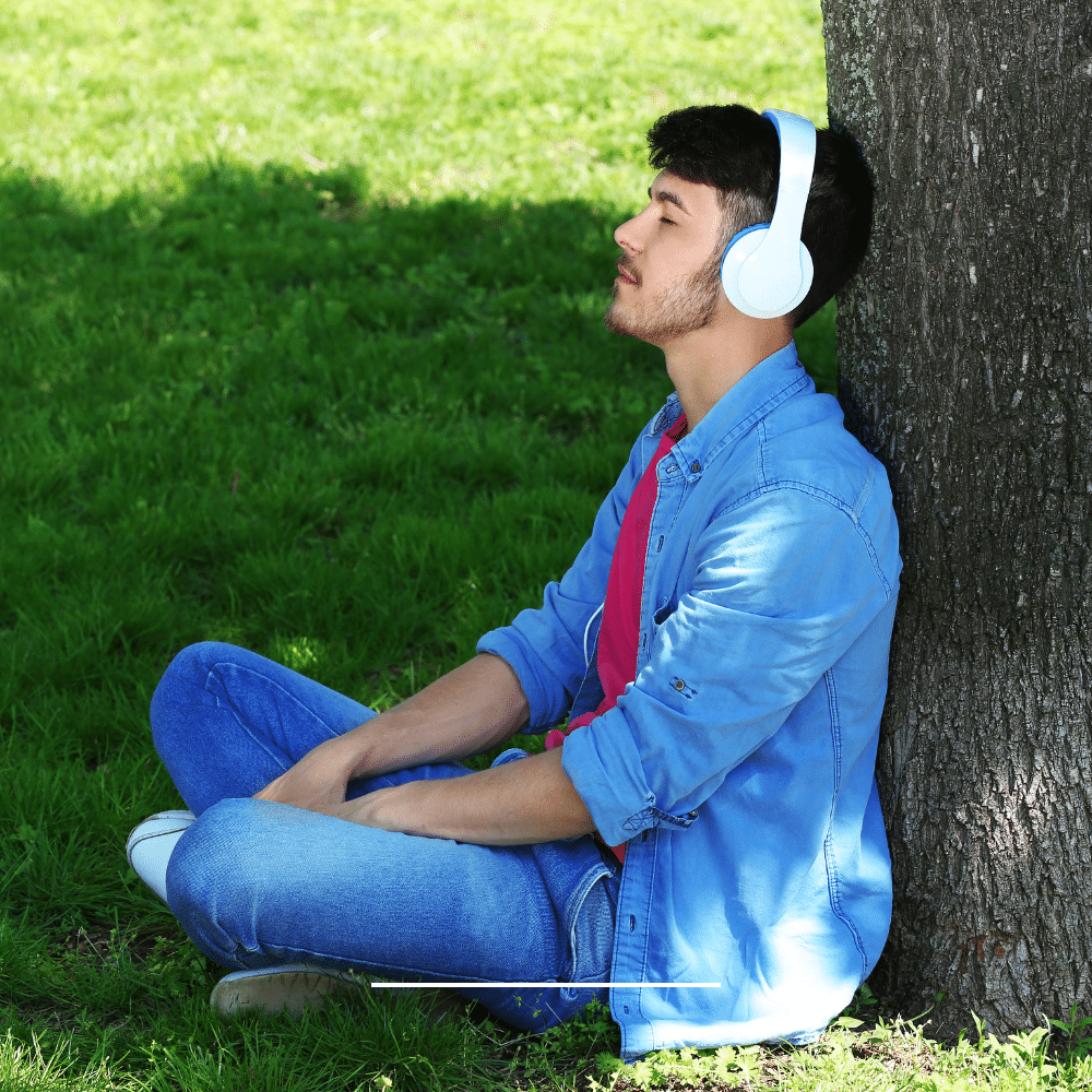 Wetenschappelijk onderzoek shilajit