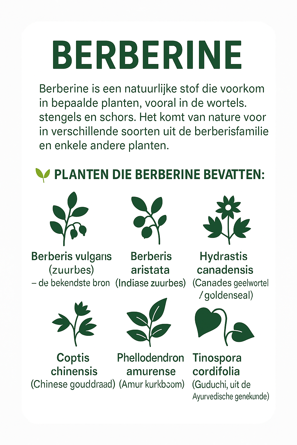 waar zit berberine in planten